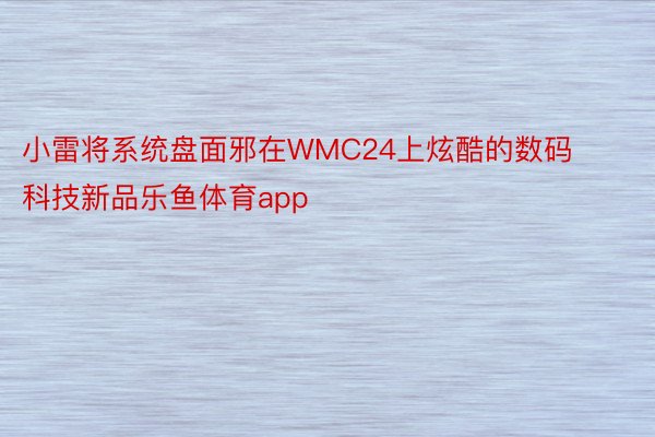小雷将系统盘面邪在WMC24上炫酷的数码科技新品乐鱼体育app